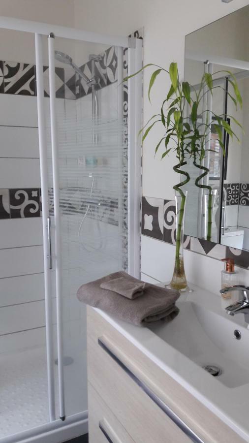 Bed and Breakfast La Pecherie Selles-sur-Cher Exterior foto